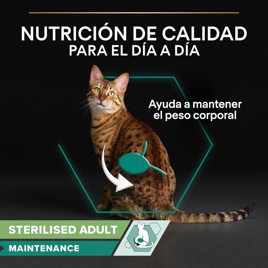 10 sobres x 75 g Pro Plan  Sobres Bacalao para gatos esterilizados, , large indicador imagen numero 3
